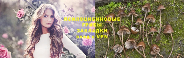 ALPHA PVP Алзамай