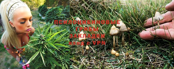 мет Алексин