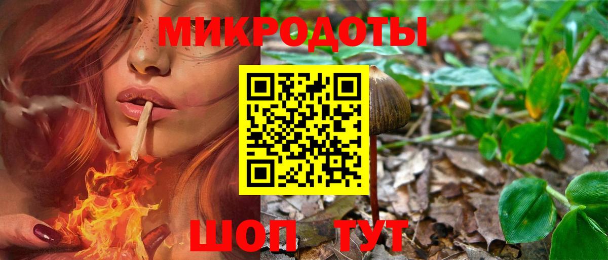 Галлюциногенные грибы GOLDEN TEACHER  Вход с VPN  Кинель  Галлюциногенные грибы прущие грибы 