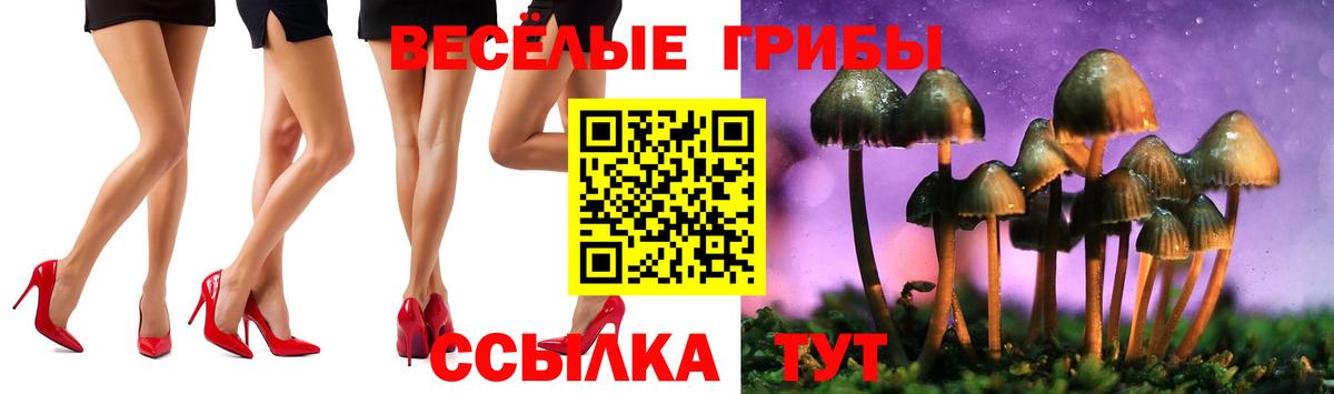 Псилоцибиновые грибы MAGIC MUSHROOMS Кинель